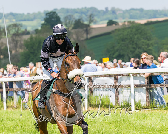 Race 2 - The Maiden  (102 of 442)