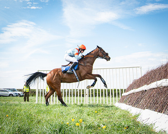 Race 3 - The Richardsons chartered Accountants Conditions Race [Level Three] for Novice Riders (99 of 117)