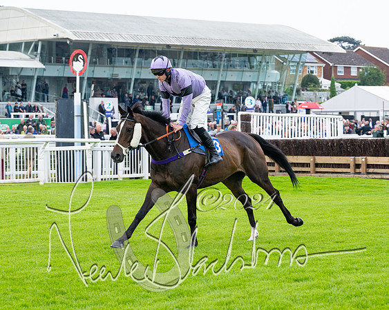 Race 3 - John Corbet Cup  (19 of 108)
