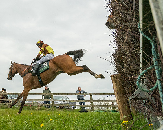 Race 2 - Jockey Club ROR veteran Horse (88 of 104)