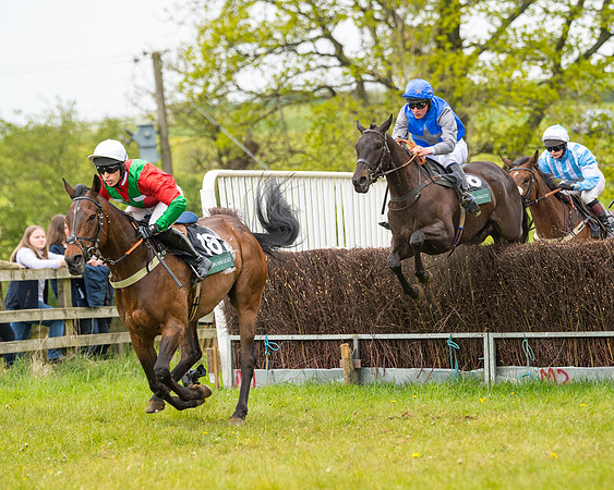 Race 7 - Open Maiden  (45 of 106)