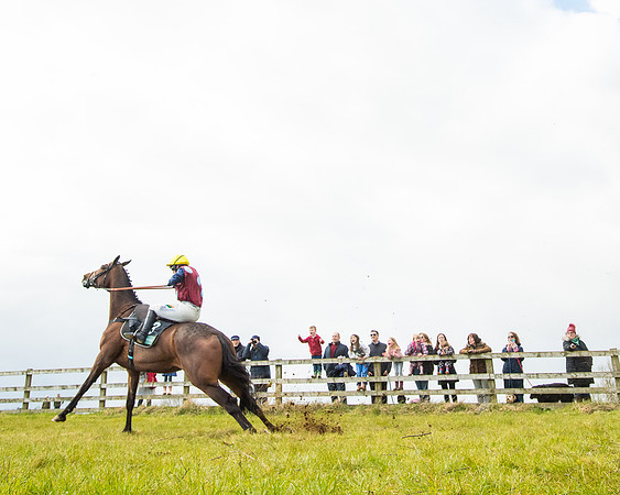 Race 5 - Restricted  (68 of 118)