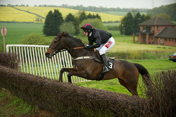 Race 2 - Novices 49