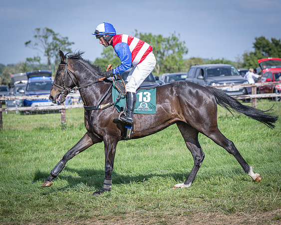 Race 6 - 2m5f Conditions (21 of 70)