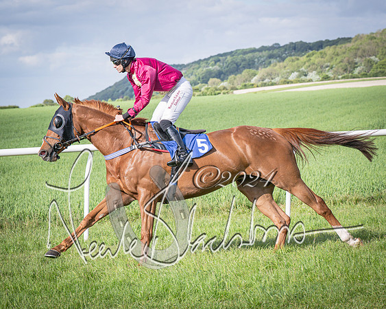 Race 6 - Thorn Plant Hire Maiden Race (39 of 129)