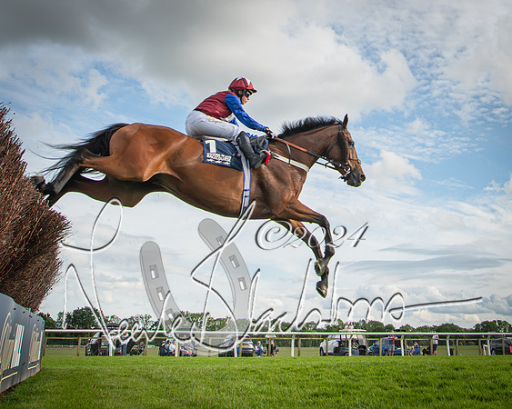 Race 2 - Olly Murphy Racing Stratford Ladies Open (49 of 111)