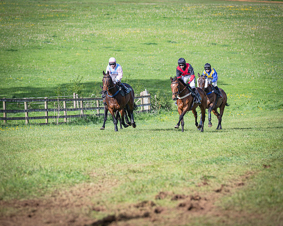 Race 7 - Walnut Hill PPORA club members maiden (5 of 104)