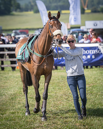 Race 5 - Restricted (19 of 116)