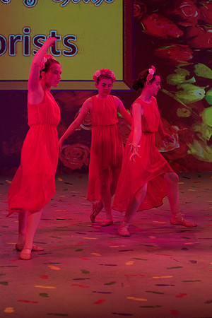 Rose Petals 27