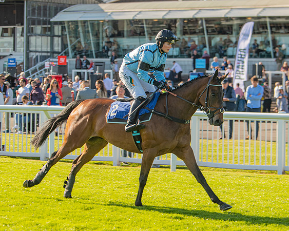 Race 2 - Nimrod Ladies Open (4 of 82)