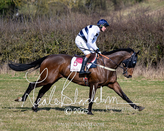 Race 1 - Maiden (36 of 188)