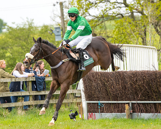 Race 7 - Open Maiden  (36 of 106)