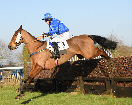 Race 3 - Restricted  (141 of 143)