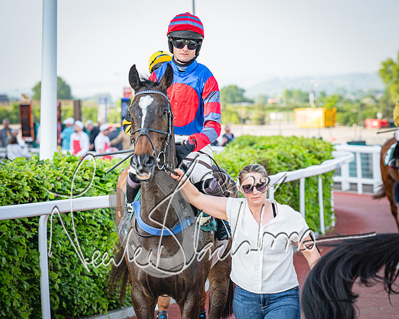 Race 3 - The Junior Jumpers open hunter's steeple chase 3m1f56y (36 of 156)