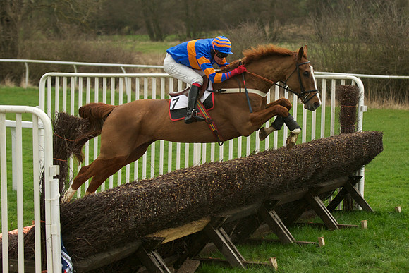 Race 5 - 56