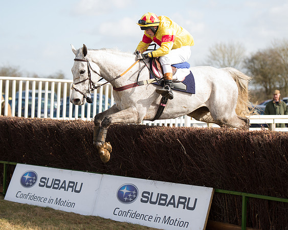 Race 1 - 4-5-6 Maiden (109 of 119).jpg