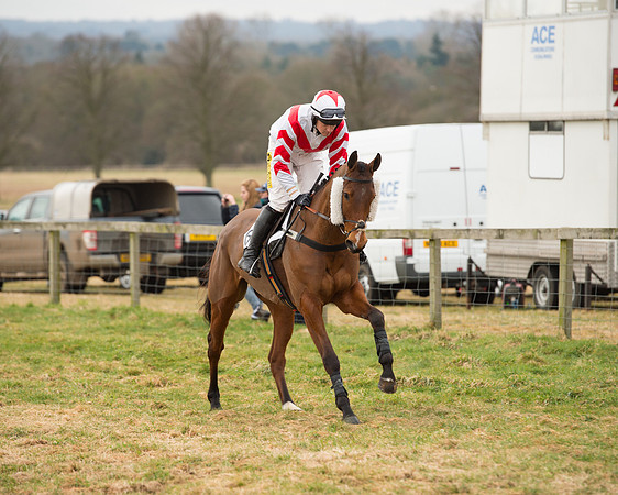 Race 6 - Open Maiden (28 of 100).jpg