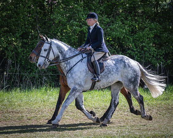 Race 5 - F N Pile and Sons PPORA Novice Riders (33 of 151)