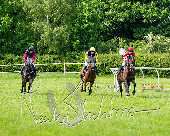 Race 2 - Restricted  (208 of 308)