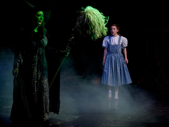 The Wizard of OZ -  345