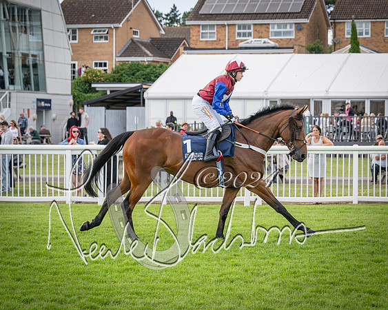 Race 2 - Olly Murphy Racing Stratford Ladies Open (30 of 111)