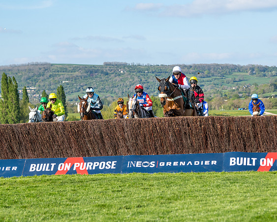 Race 3 - KTDA Hunters' Steeple Chase  (103 of 226)