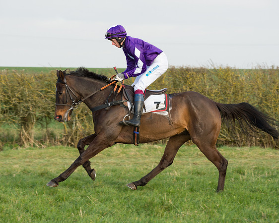 Race 6 - Open Maiden Race (32 of 99).jpg
