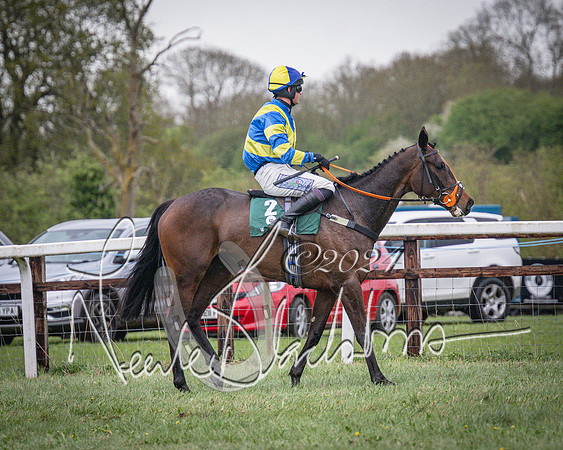 Race 7 - The Jockey Club maiden race for Mares and Fillies only (89 of 96)