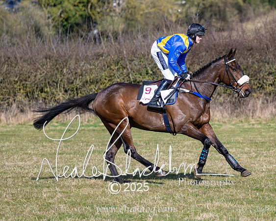 Race 1 - Maiden (56 of 188)