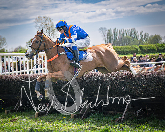 Race 2 - The Elliott of London maiden race (67 of 137)