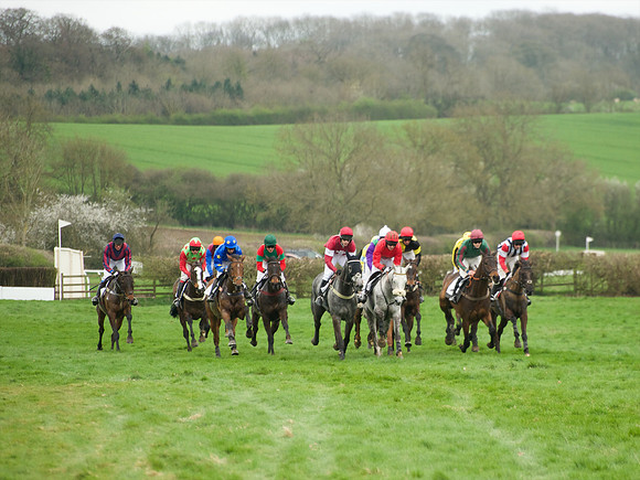 Race 6 - Maiden  55