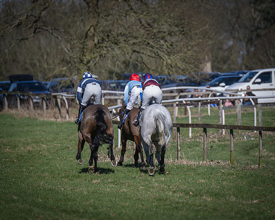 Race 1 - Veteran Horse (33 of 62)