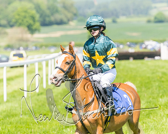 Pony Races  (12 of 141)