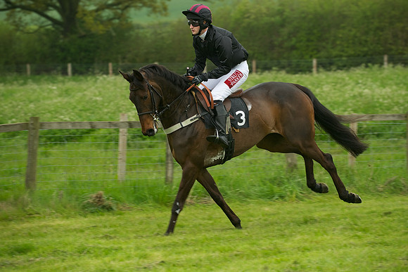 Race 2 - Novices 24