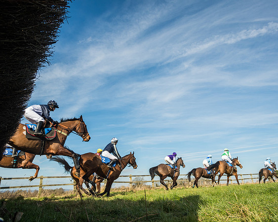 Race 3 - Ladies Open (57 of 156)