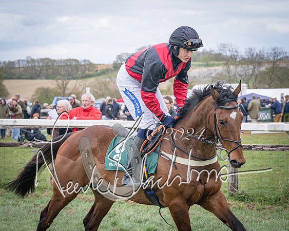 Race 3 - 5 years old and Over Maiden Race (25 of 130)