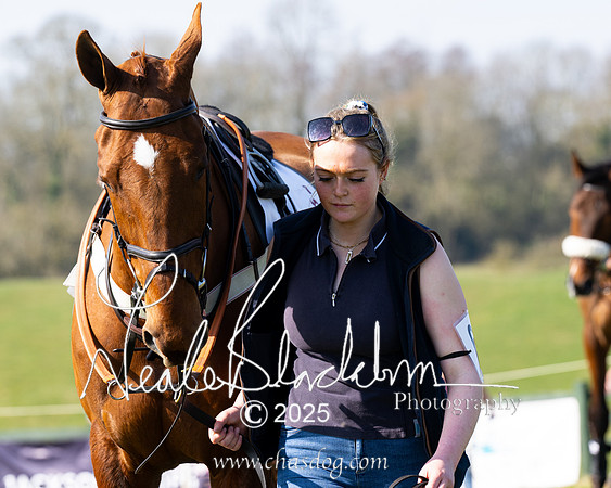 Race 1 - Maiden (10 of 188)