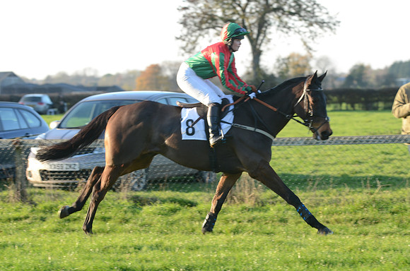 Open Maiden  11