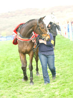 Race 6 - Open Maiden  5