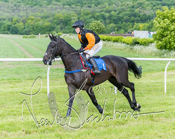 Race 5 - Restricted Race (158 of 434)
