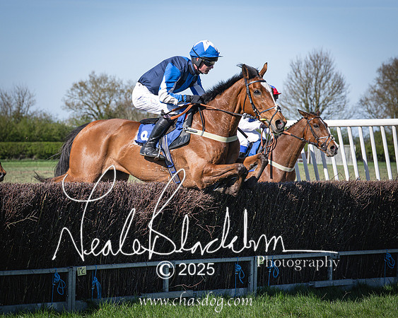 Race 6 - Veteran horse (70 of 109)