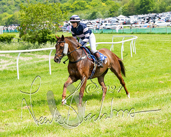 RAce 1 - Conditionsn [Level 2] (64 of 219)
