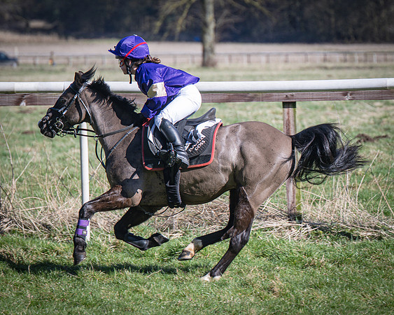 Pony Races (56 of 112)