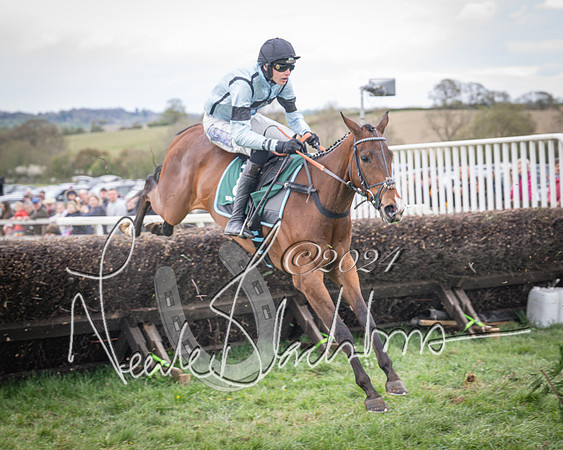 Race 2 - Tattersalls Cheltenham 4 year old Maiden (45 of 85)