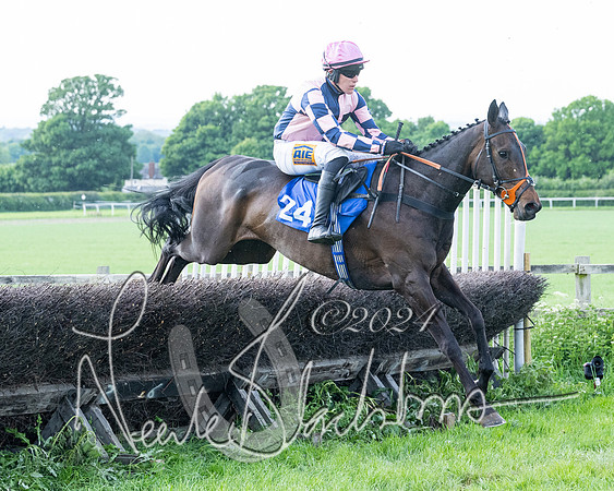 Race 5  - Maiden race 2m5F Div-2 (156 of 205)