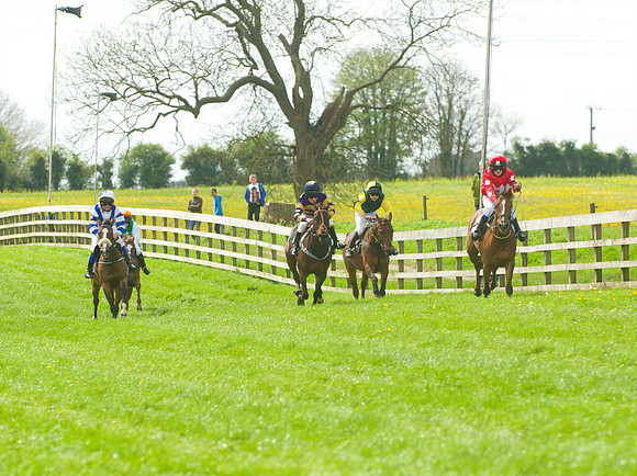 Pony Race - 2    30