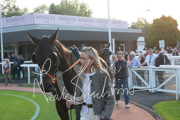Race 6 - The Brooklands watches Golden Miller chronograph open hunter’s steeplechase 4m 97y (13 of 396)