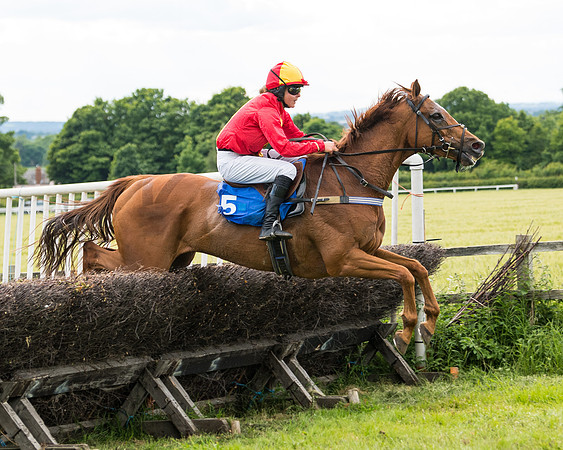 Race 5 - Restricted  (96 of 136)