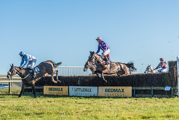 Race 1 - PPORA Novice Riders Race-21