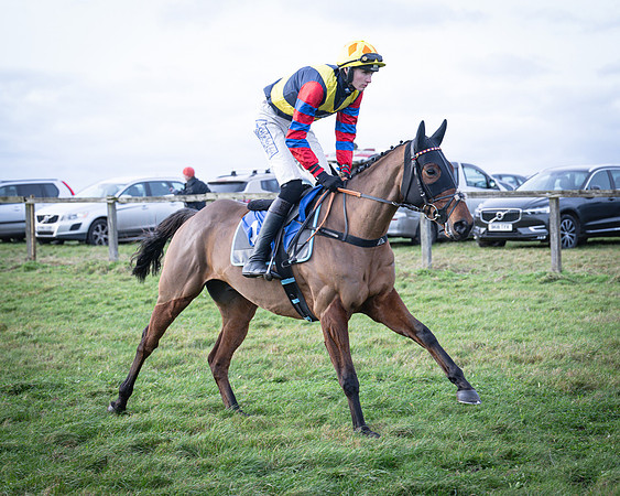Race 7 - Call Me Early - Jack Andrews (6 of 32)
